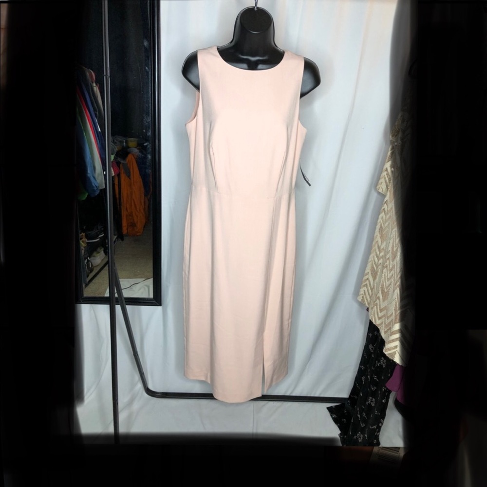 The Limited Dress